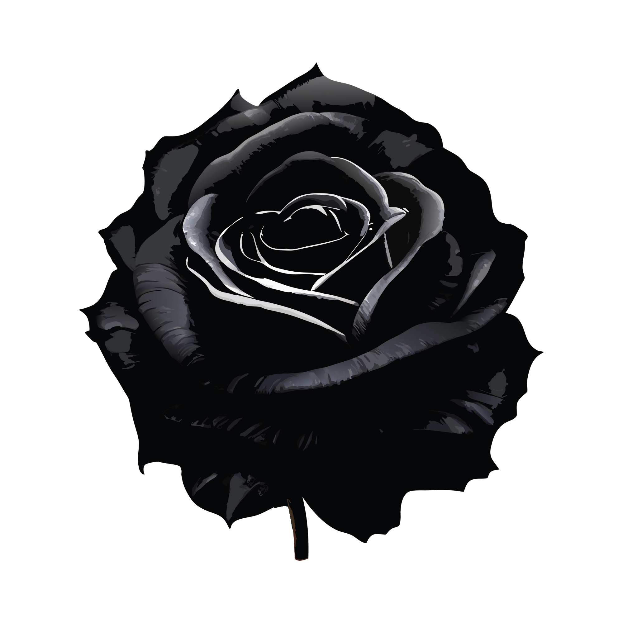 Black Rose