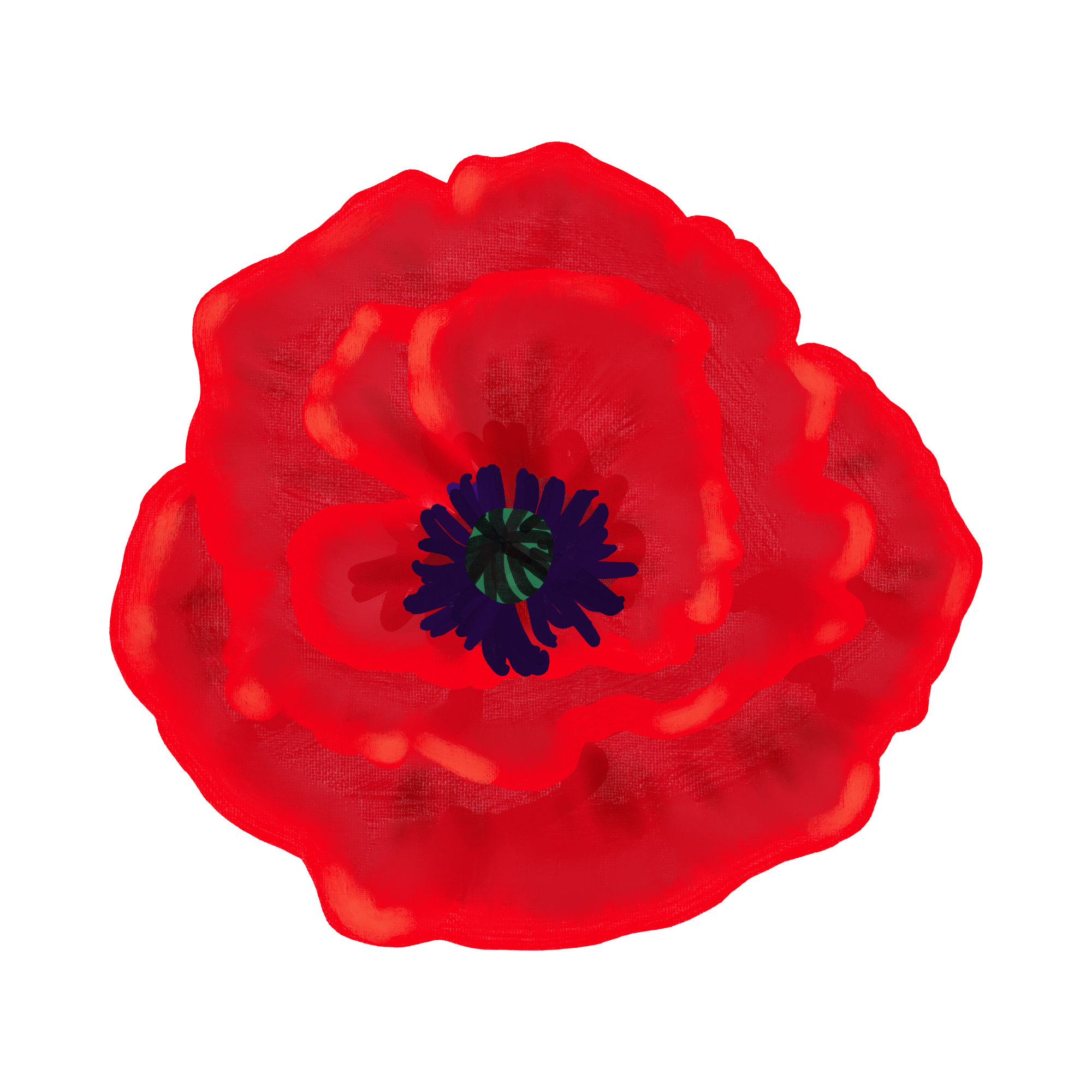 Poppy